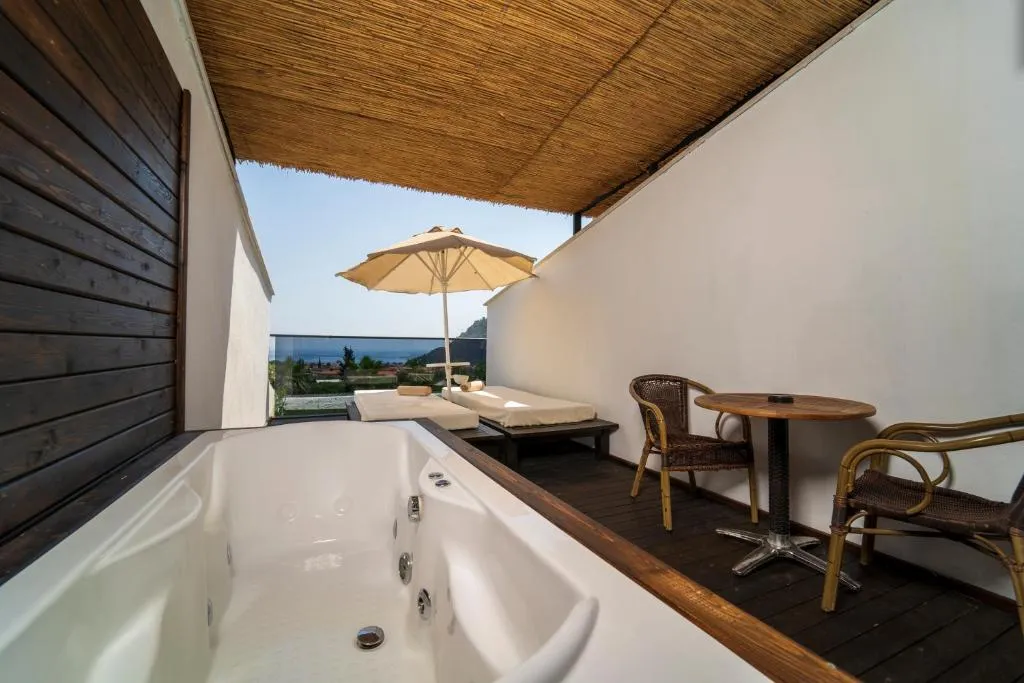 Manaspark Deluxe Hotel, photo 3